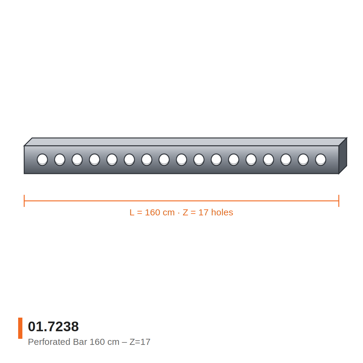 01.7238 - Perforated Bar 160 cm Z=17