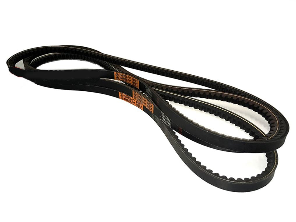 3 belts LINCE/VOLPE