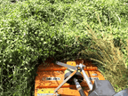 Lawnmower / Chained Rotary Cutter for Tractors