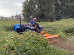 Tractor mulching dense brush with the DELEKS LEOPARD flail mower