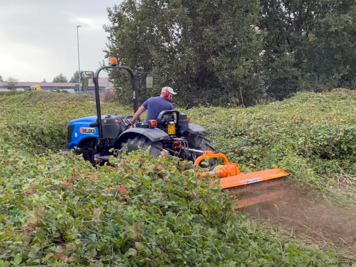 Tractor mulching dense brush with the DELEKS LEOPARD flail mower
