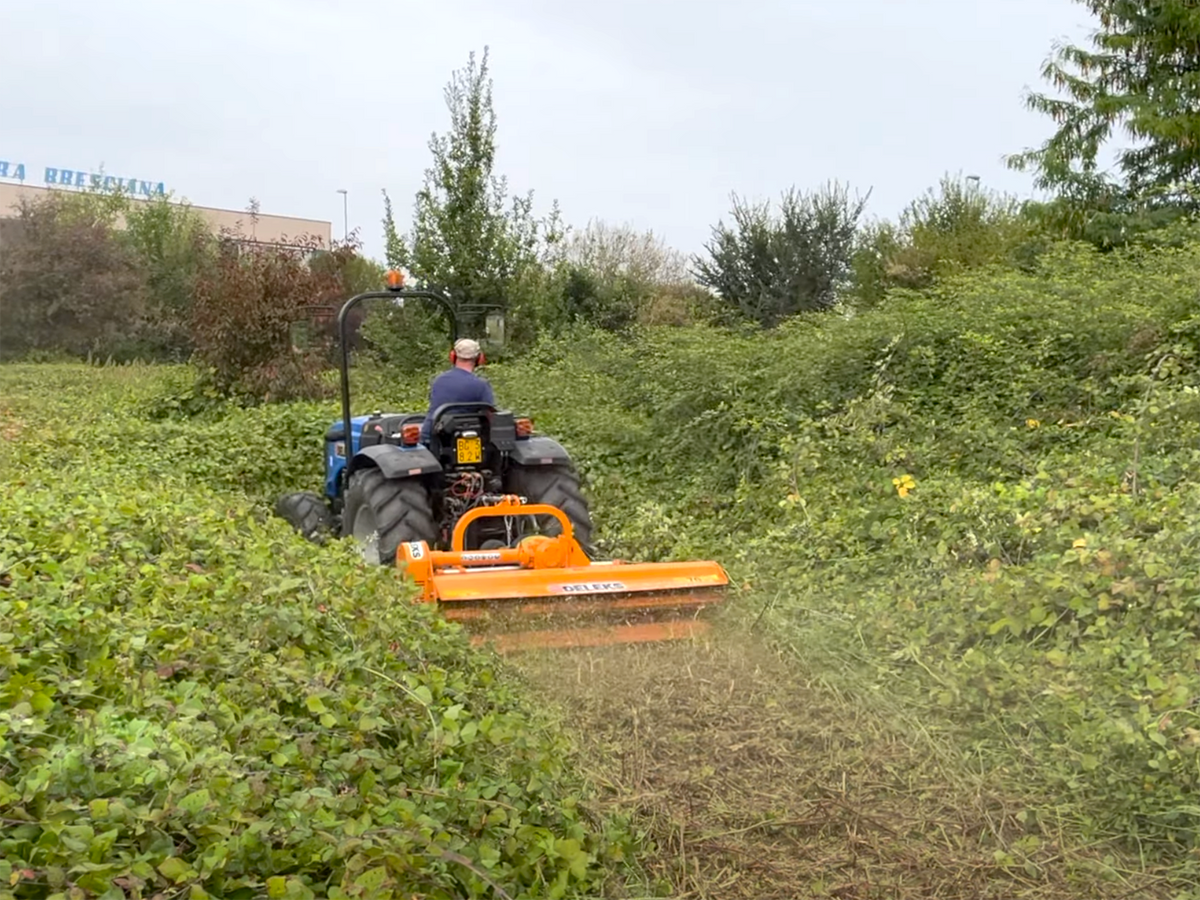 Tractor clearing an overgrown lot with the DELEKS LEOPARD flail mower