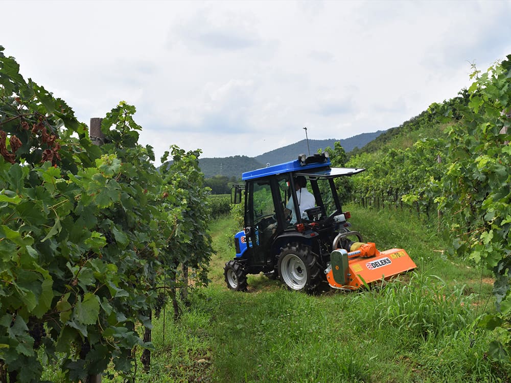 Lince - Flail Mower With Adjustable Sideshift Multipurpose Mulcher With Hammers